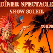 Show Soleil