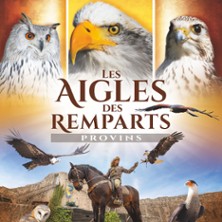 LES AIGLES DES REMPARTS -  FAUCONNERIE EQUESTRE