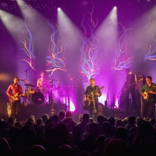 Debout sur le Zinc
