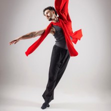 LES 4 SAISONS, LE BALLET Cie Choryph&eacute;e