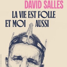 DAVID SALLES La Vie est Folle et Moi Aussi
