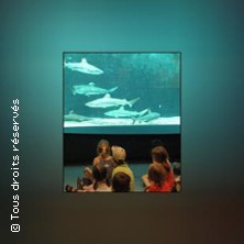 AQUARIUM - MUSEUM DE LIEGE LIEGE