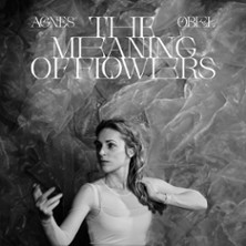 Agnes Obel