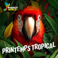Parrot World