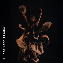 BALLET FLAMENCO